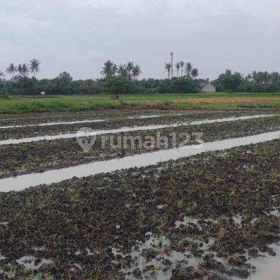 Tanah dijual di jatimulaya sepatan timur kabupaten tangerang 1