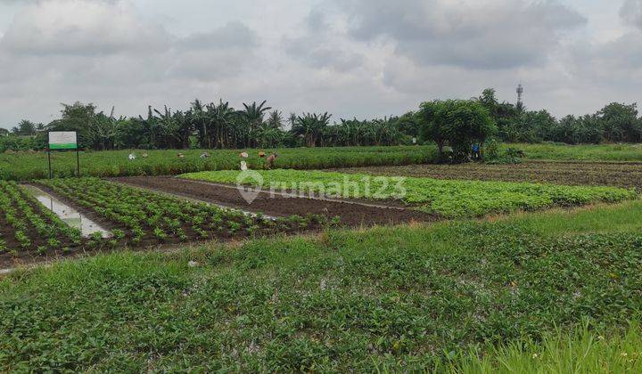 Tanah dijual di jatimulaya sepatan timur kabupaten tangerang 2