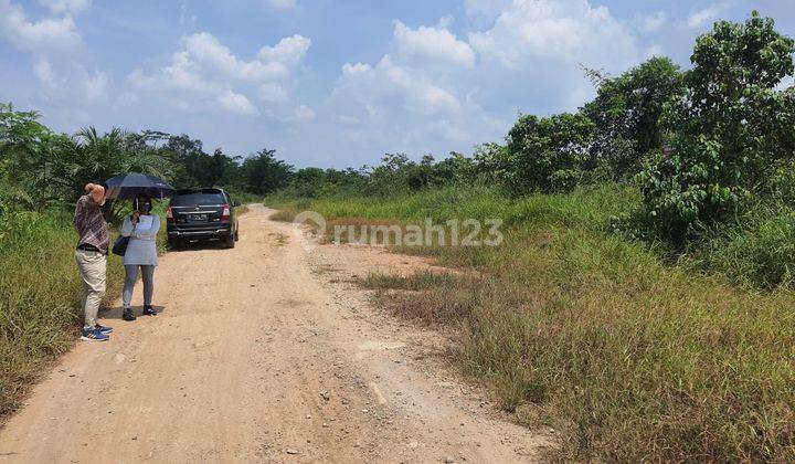 Tanah dijual di talang kelapa kabupaten banyuasin sumsel 1