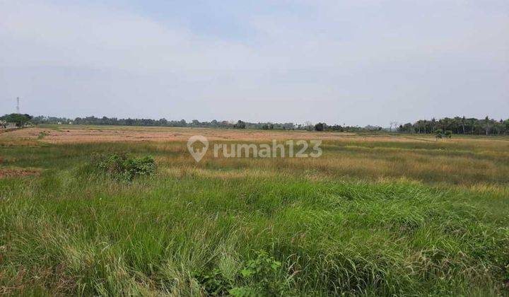 Tanah Dijual Super Murah Di Jl Raya Kronjo Kabupaten Tangerang 1