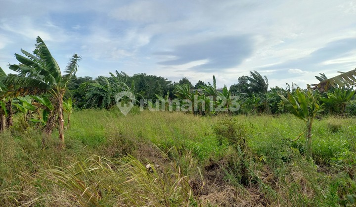 Tanah Dijual Murah Di Cisauk Kabupaten Tangerang