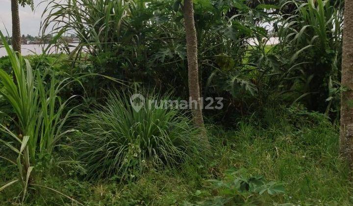 Tanah Dijual Di Jl Pangeran Sido Ing Kenayan Gandus Palembang 2