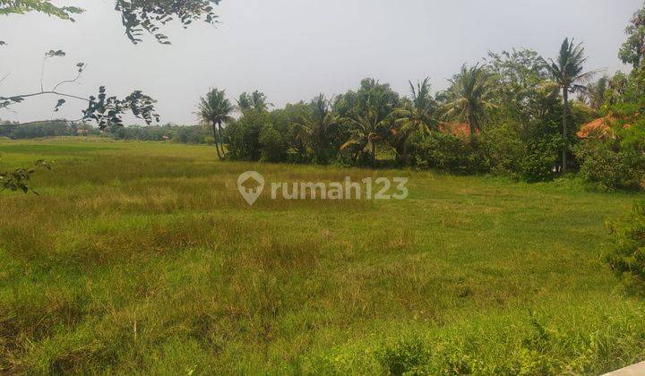 Tanah Dijual Di Jl Raya Kronjo Desa Bakung Kronjo Tangerang 2