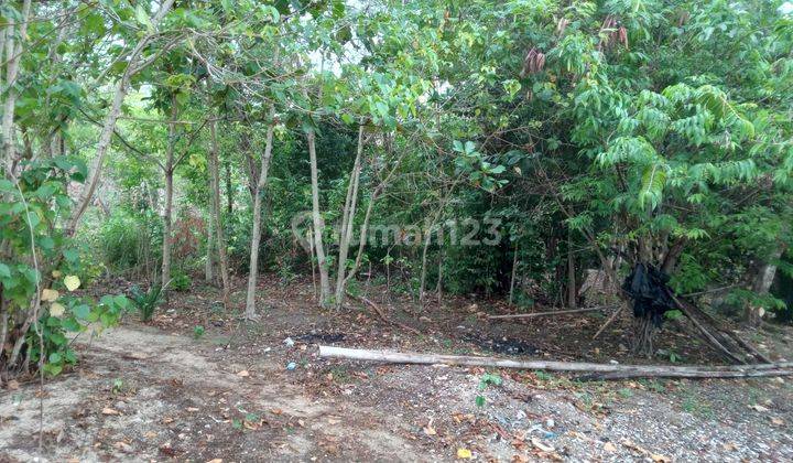 Tanah Dijual Di Jl Raya Tanjung Lesung Pandeglang Banten 1