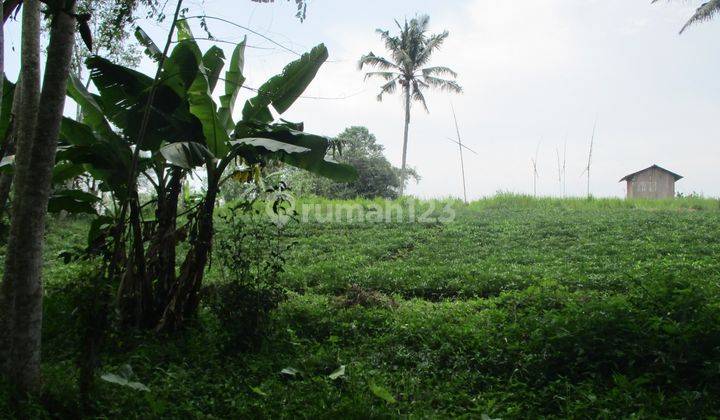 Tanah Dijual Di Balekambang Kec. Nagrak Kabupten Sukabumi 2