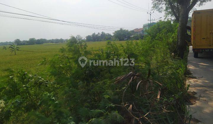 Tanah Dijual Murah Di Jl Raya Kronjo Desa Pasilian Kab. Tangerang 2