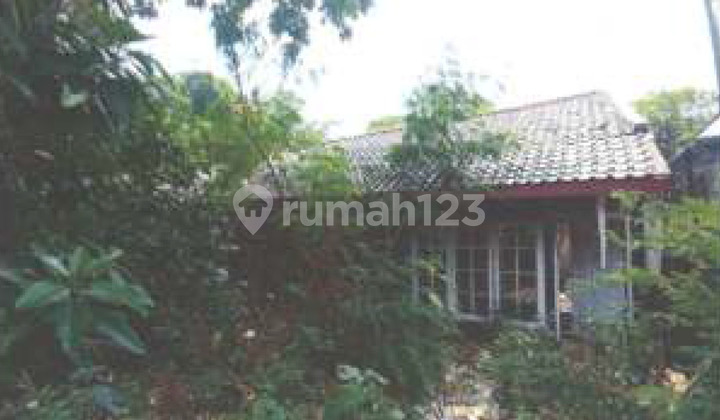 Tanah Dijual Murah Di Jl H Samali Kalibata Jakarta Selatan Tanah Dijual Murah Di Jl H Samali Kalibata Jakarta Selatan