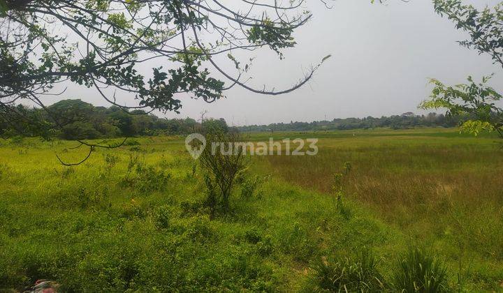 Tanah Dijual Di Jl Raya Kronjo Desa Bakung Kronjo Tangerang 1