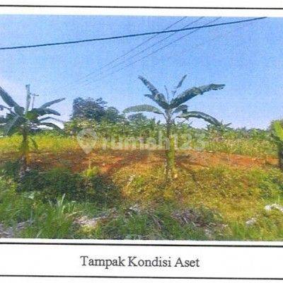 Tanah dijual di jl PT NASSAU citeureup kabupaten bogor  1