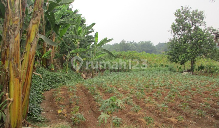 Land For Sale In Bukit Mekar Wangi Housing, Tanah Sareal, Bogor Land For Sale In Bukit Mekar Wangi Housing, Tanah Sareal, Bogor