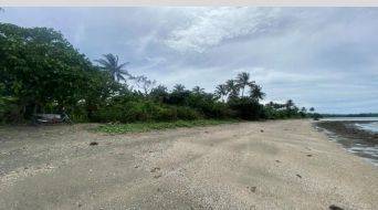 Tanah Dijual Murah Di Jl RayaTanjung Lesung Banten.185 Ribu/ M² 2