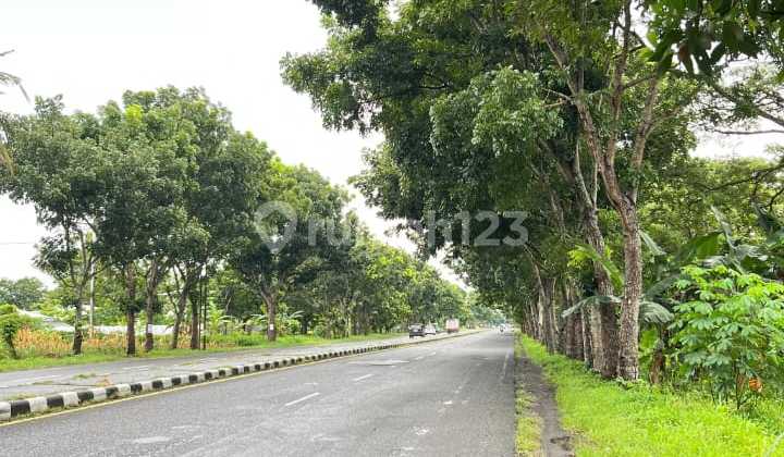 Tanah Siap Bangun Dijln Deandles Desa Geparang Kec. Purwodadi Kab Purworejo Jateng Tanah Siap Bangun Dijln Deandles Desa Geparang Kec. Purwodadi Kab Purworejo Jateng
