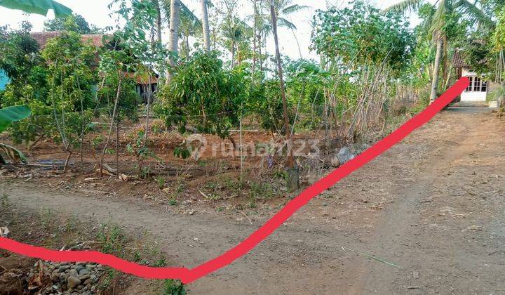 Tanah Kosong Siap Bangun Di Dukuhrejo,Bayan,Purworejo 1