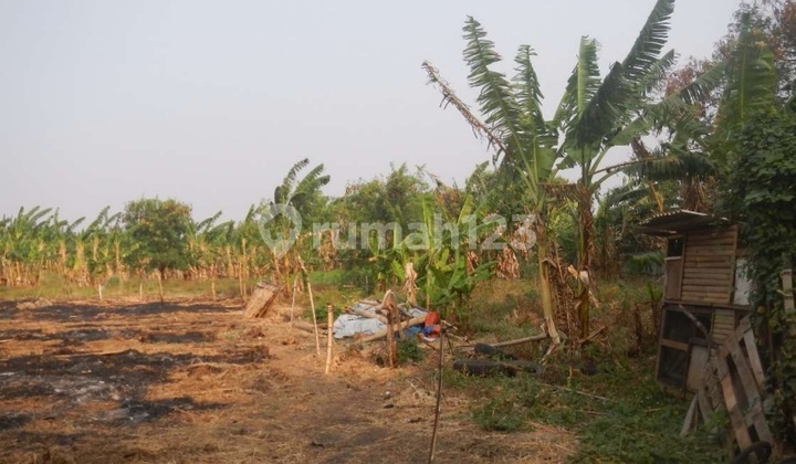 Kavling Mendekati Njop Cengkareng