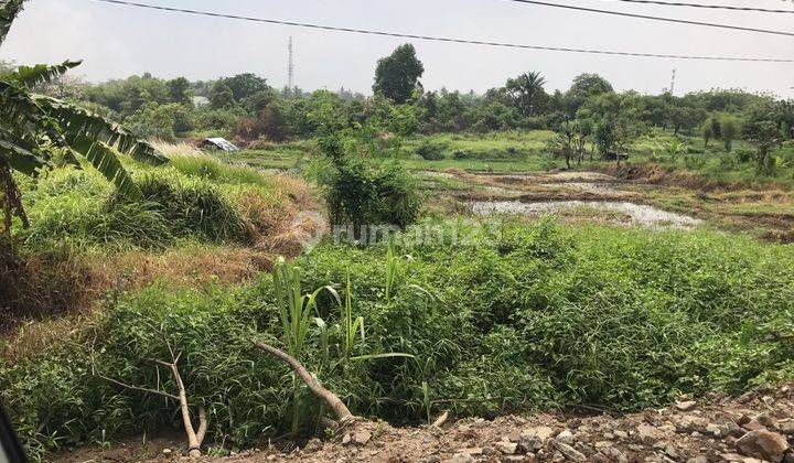 Dijual Lahan Tanah di Cikande, Serang SHM 11.803 m² 6