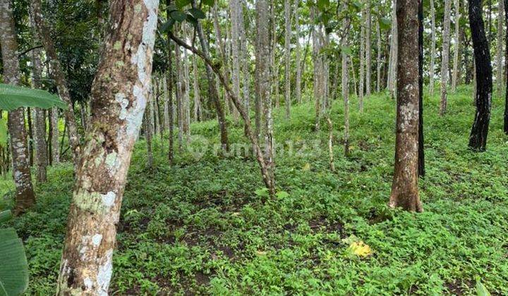 Dijual Lahan di Desa Bantargadung, Blok Linggaresmi Sukabumi 1