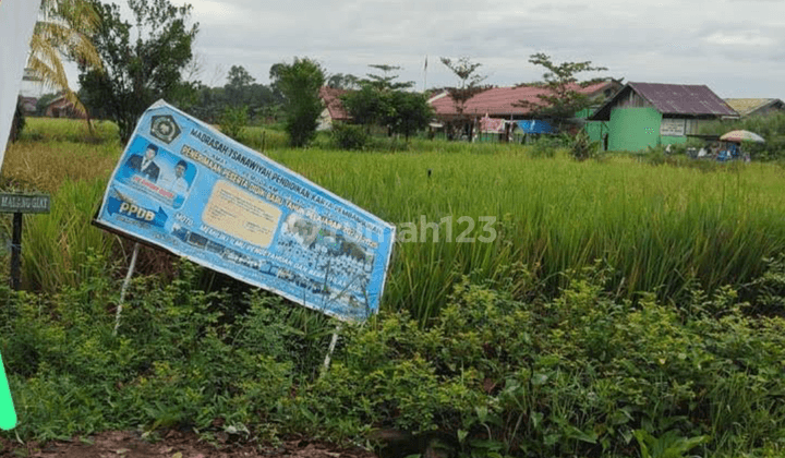 Dijual Cepat Tanah di Jl Pemuda Kabupaten Kapuas 2