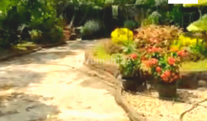 Dijual Villa Bagus Ada Kolam Renang Siap Huni, Pringsewu, Lampung 2