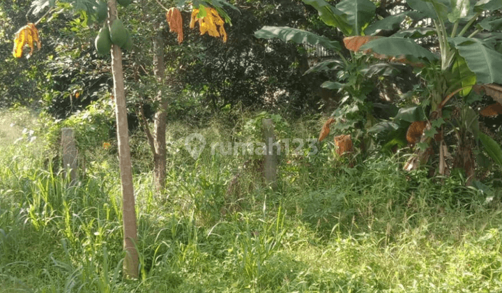 Di Jual Tanah Cocok Untuk Gudang, Lokasi Startegis, Rawalumbu  1