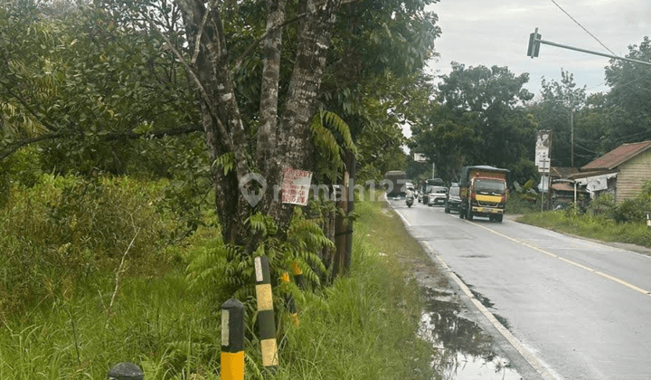 Dijual Cepat Tanah Kosong Jl Mahir Mahar, Palangkaraya 2