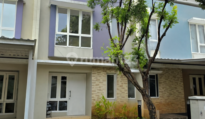Rumah Thomson Scientia Garden Gading Serpong Rumah Thomson Scientia Garden Gading Serpong