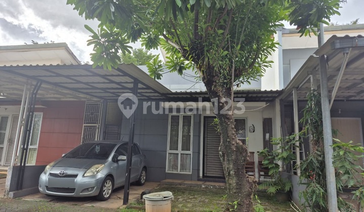 Simplicity House Bsd South Tangerang