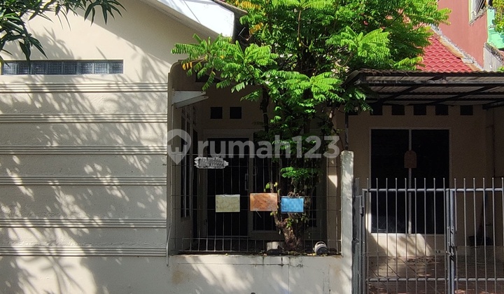 Rumah 1 Lantai Hadap Timur Nusaloka 14.4 BSD Rumah 1 Lantai Hadap Timur Nusaloka 14.4 BSD