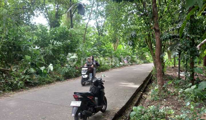 Dijual Tanah 5578M2 Jl.warban, Harga Dibawah Njop,Shm