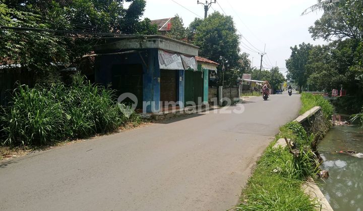 For Sale 1 Hectare Land (SHM) Bamboo Plantation, Flat Land Contour.