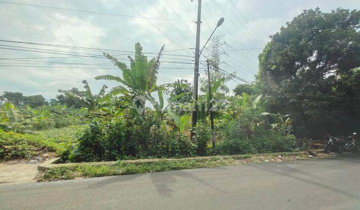 Tanah di Jalan Ciherang Bong,cikeas,sukaraja, Bogor SHM 1.200 m² 1