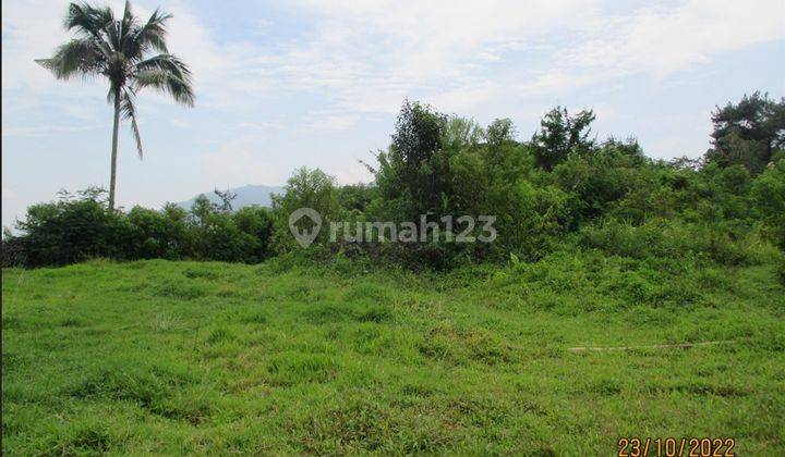 Dijual Tanah Murah 8205 M2 ,di Curug Bitung, Kec.nanggung,kab.bgr 1