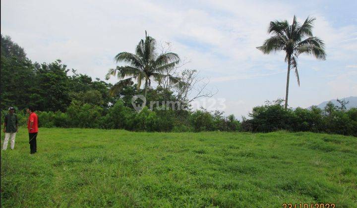 Dijual Tanah Murah 8205 M2 ,di Curug Bitung, Kec.nanggung,kab.bgr 2