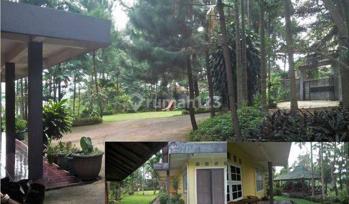 Di Jual Vila Rumah View Gunung,shm, Bagus,megamendung 1