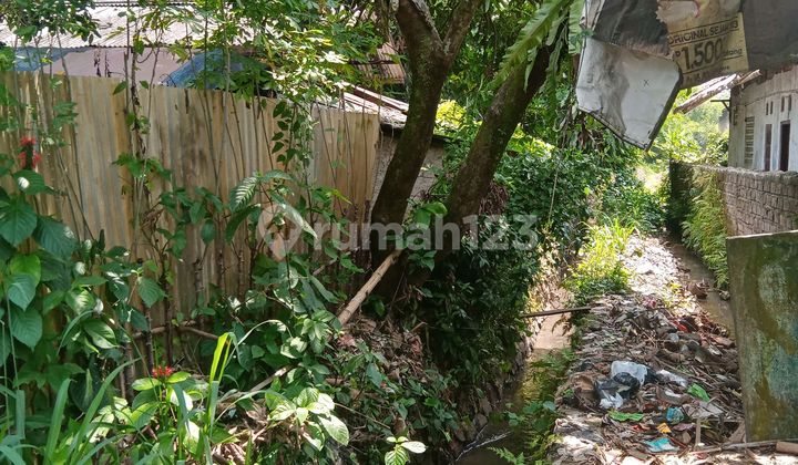 For Sale 1 Hectare Land (SHM) Bamboo Plantation, Flat Land Contour.