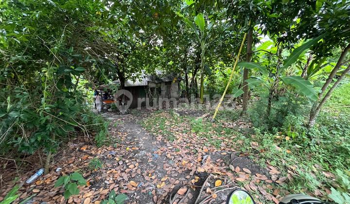 Tanah Strategis 5 Are di Dalung, Cocok untuk Investasi Jangka Panjang