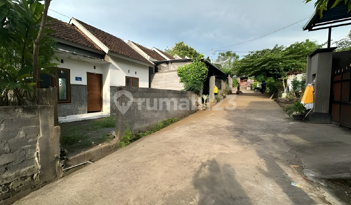 Rumah Minimalis Nyaman di Buleleng – Harga Terjangkau Mulai Rp 190 Juta 1