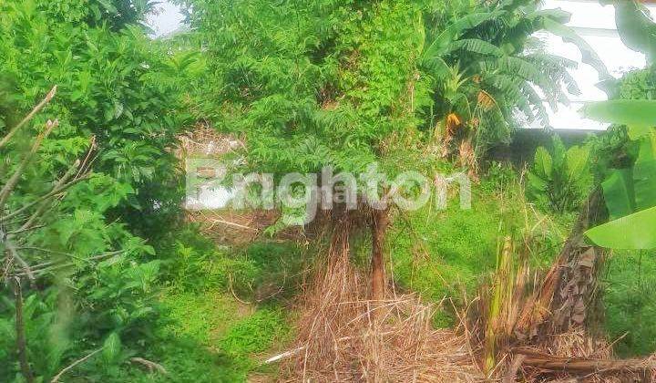 TANAH STRATEGIS DI TUKAD BADUNG UTAMA - POTENSI INVESTASU DI JANTUNG KAWASAN BISNIS