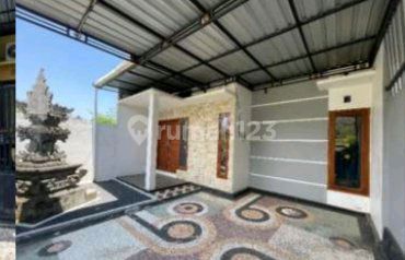 Minimalist House Near the Beach in the Strategic Lovina Area 2