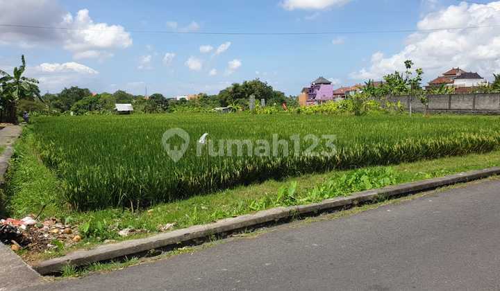 Dijual Tanah, Lokasi Dekat Dengan Canggu, Kerobokan Kaja 1