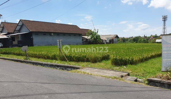 Dijual Tanah, Lokasi Dekat Dengan Canggu, Kerobokan Kaja 5