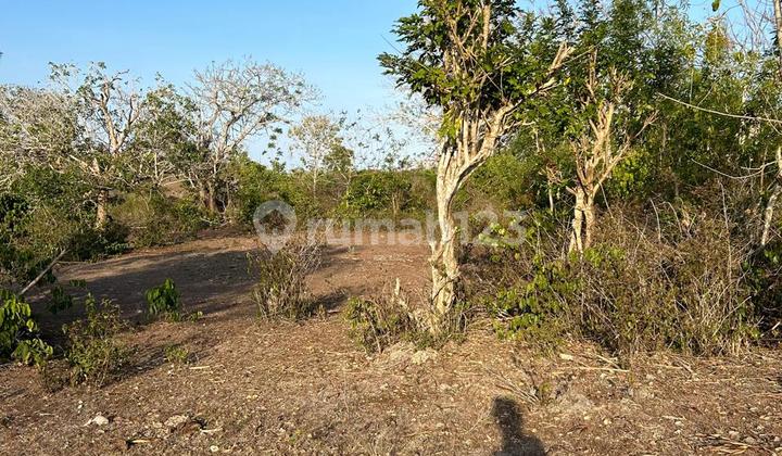 Land with Sea View in Pandawa, 45 Ares – Tourism Zone, Ideal for Exclusive Villa or Beach Club.