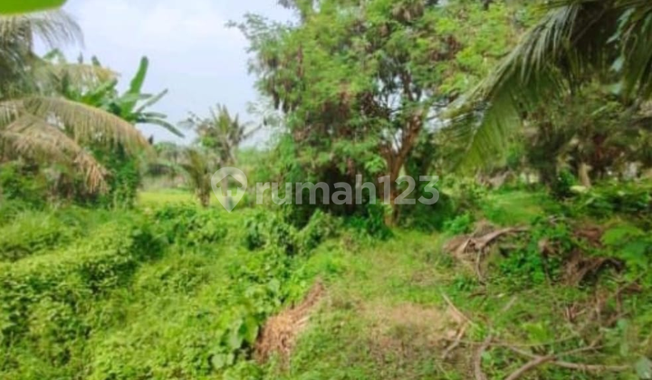 Exclusive Land Plot on Saba Beach Road - Ready to Build, Near the Beach and Tourist Area Exclusive Land Plot on Saba Beach Road - Ready to Build, Near the Beach and Tourist Area