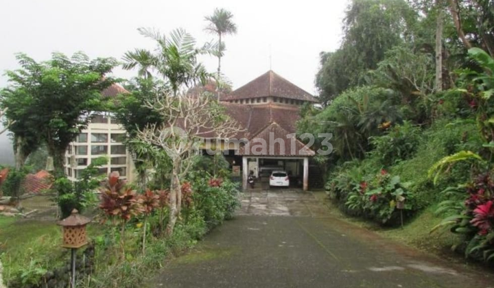 Exclusive Bali Camp in the Heart of Baturiti - 27,500 m² of Unlimited Potential