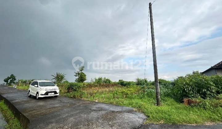 Tanah Kavling SHM di Kediri Tabanan – Lokasi Strategis Dekat Fasilitas & Wisata Tanah Kavling SHM di Kediri Tabanan – Lokasi Strategis Dekat Fasilitas & Wisata