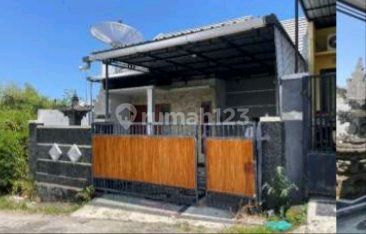 Rumah Minimalis Dekat Pantai Di Kawasan Strategis Lovina