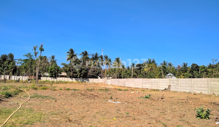 Lahan 3 Hektar di Kuta Lombok - Momentum Investasi di Kawasan Mandalika Lahan 3 Hektar di Kuta Lombok - Momentum Investasi di Kawasan Mandalika