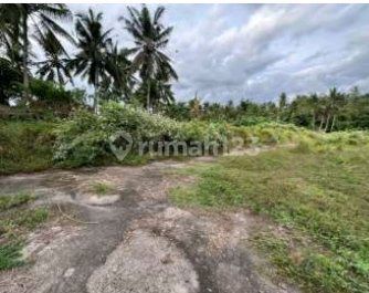 Tanah Kavling Sejuk Cocok Untuk Vila Atau Investasi