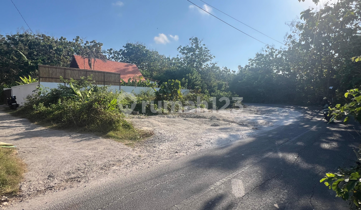 Tanah Strategis 3 Are, Cocok Investasi & Hunian Nyaman 