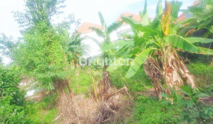 TANAH STRATEGIS DI TUKAD BADUNG UTAMA - POTENSI INVESTASU DI JANTUNG KAWASAN BISNIS