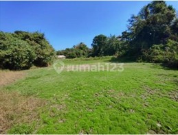 Tanah 44 Are Dekat Pantai Yeh Gangga Tabanan - Cocok Villa Complex & Resort Development